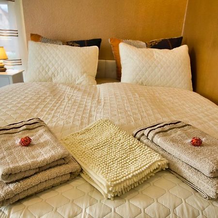 Mycozyplace - Zwei Gemuetliche Zimmer Fuer Vier Dresden Dış mekan fotoğraf